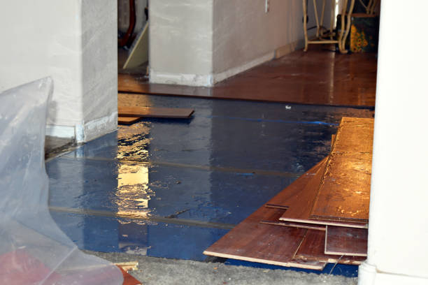 Professional Burst Pipe Cleanup technician working in South Walpole, MA